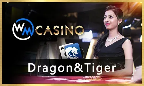 Jilibet Table Games